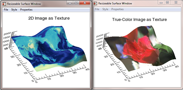 2D or 3D images as texture maps.
