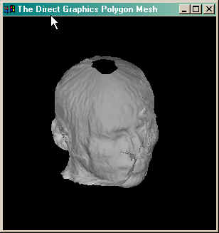 The direct graphics isosurface created from ROIs.