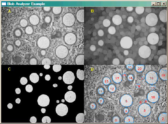 The output of the Blob_Analyzer example program.