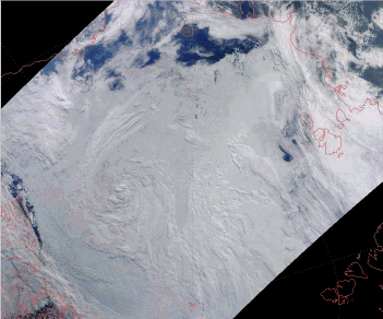 Bright and shiny color image