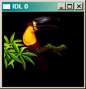 Image ignorning the alpha channel.