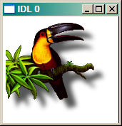 The image with a white background.