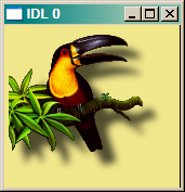 The image with a pale yellow background.