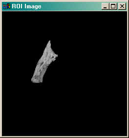 The ROI with the image masked out.